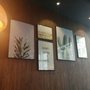 Photo of Seasons