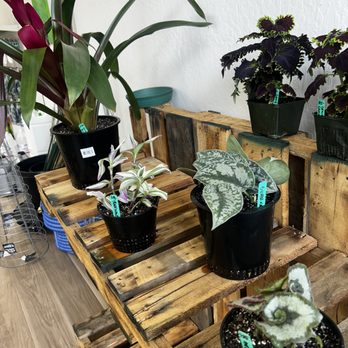 Rooted Garden Supply - Hydroponics Near Me - Concord, California