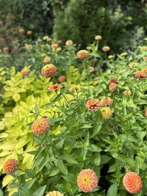 Lake Harriet Bandshell Park by null