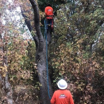 Central Sierra Enterprise - Pest Control Near Me - North Fork, California