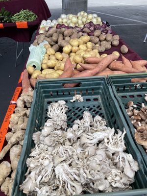 Rose Garden Farmer's Market by null