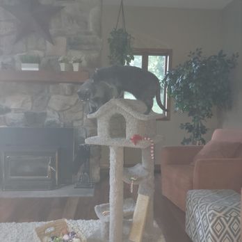 Tails A Waggin' Pet Services - Pet Sitting Near Me Tails A Waggin' Pet Services - Pet Sitting Near Me