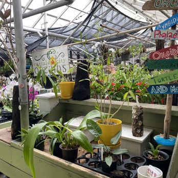 Emerald City Orchids - Nurseries & Gardening Near Me - Tacoma, Washington Emerald City Orchids - Nurseries & Gardening Near Me - Tacoma, Washington