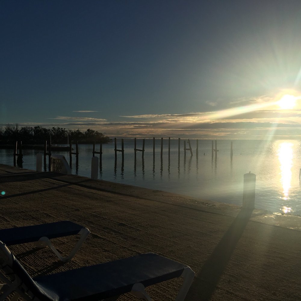Pines and Palms Resort - One month after hurricane Irma - Resorts Near Me - Islamorada, Florida Pines and Palms Resort - One month after hurricane Irma - Resorts Near Me - Islamorada, Florida