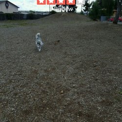 Orange Dog Park