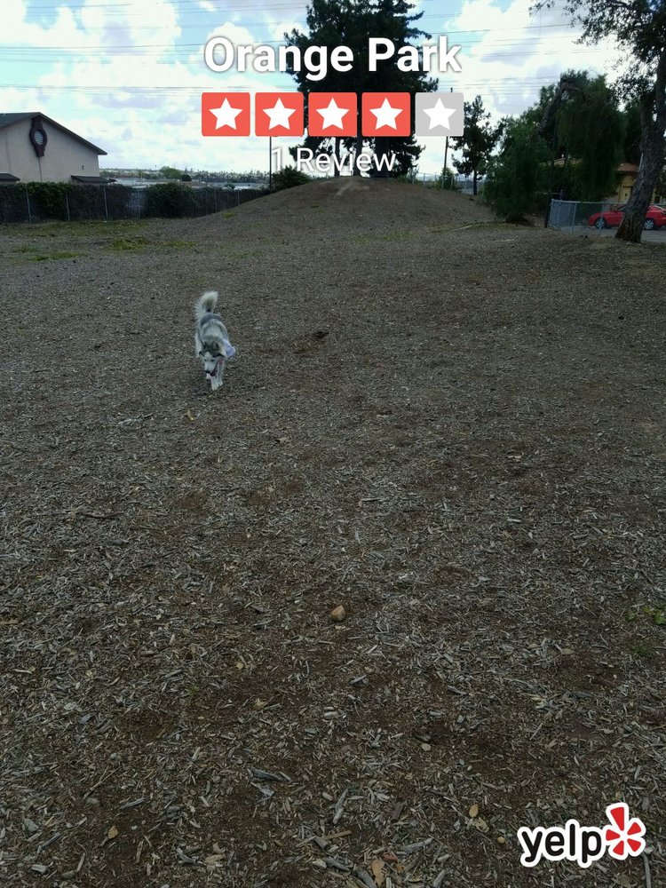 ORANGE DOG PARK Updated September 2024 1475 4th Ave, Chula Vista
