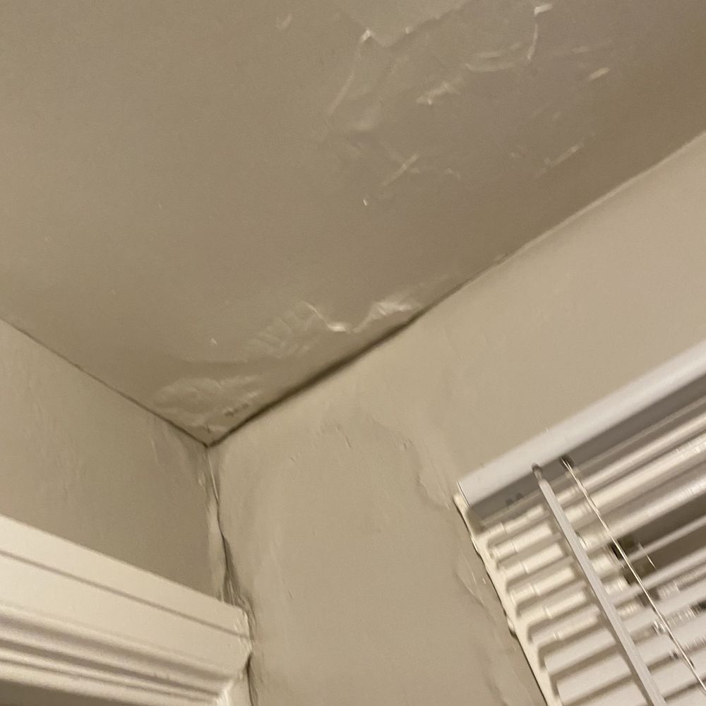 Renters 1st Choice - Ceiling - Property Management Near Me - St Louis, Missouri Renters 1st Choice - Ceiling - Property Management Near Me - St Louis, Missouri