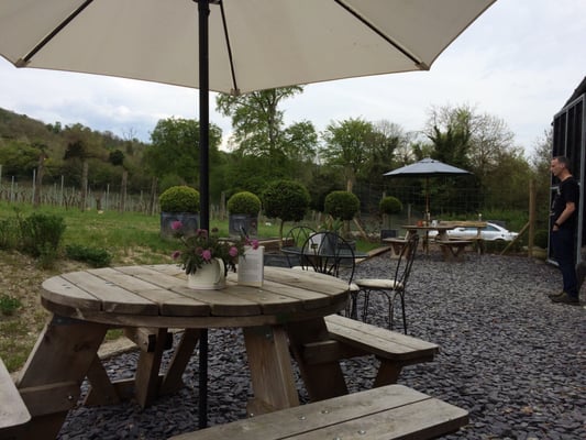 Albury Vineyard by null