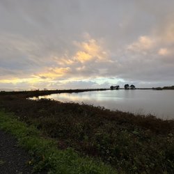 Arcata Marsh Interpretive Center