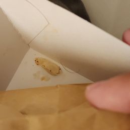 Hair in my chicken sandwich box...yuck