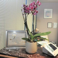 Hahn Dental