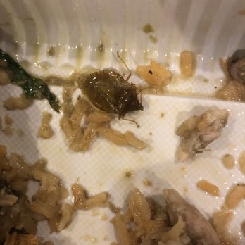Tacos El Bronco - Centimeter long stink bug inside pipian verde - Mexican Near Me - Brooklyn, New York Tacos El Bronco - Centimeter long stink bug inside pipian verde - Mexican Near Me - Brooklyn, New York
