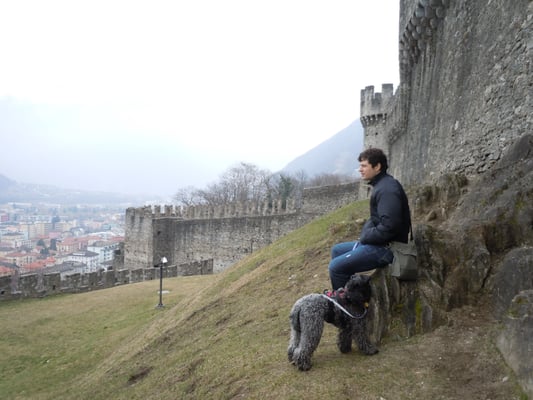 Castello di Montebello by null