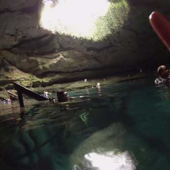 Devil's Den Prehistoric Spring - In water looking up - Scuba Diving Near Me - Williston, Florida