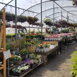 McSherry's Nursery And Garden Center - Greenhouse #1