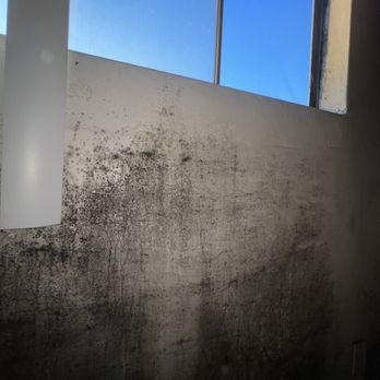 CMC Realty & Property Management - Mold - Property Management Near Me - Long Beach, California