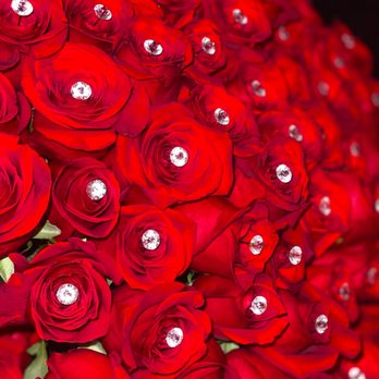 Norma's Flower Shop - Florists Near Me - Newark, California Norma's Flower Shop - Florists Near Me - Newark, California