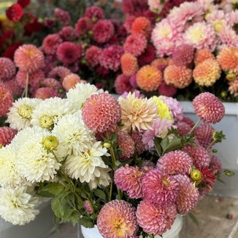 Green City Market - Farmers Market Near Me - Chicago, Illinois Green City Market - Farmers Market Near Me - Chicago, Illinois