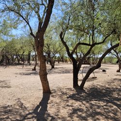Smiling Dog Ranch at George Mehl Family Park - Really pretty