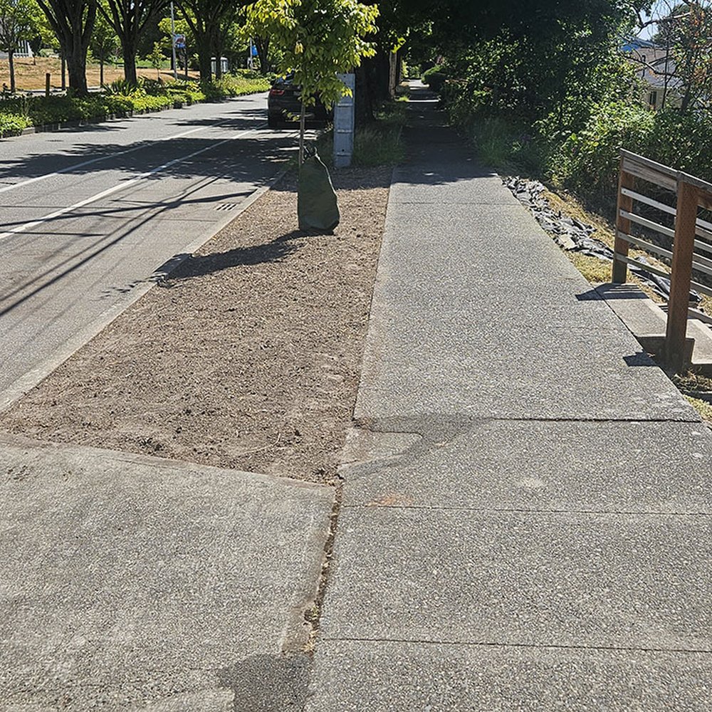 AKT Landscaping - After - Landscaping Near Me - Seattle, Washington AKT Landscaping - After - Landscaping Near Me - Seattle, Washington