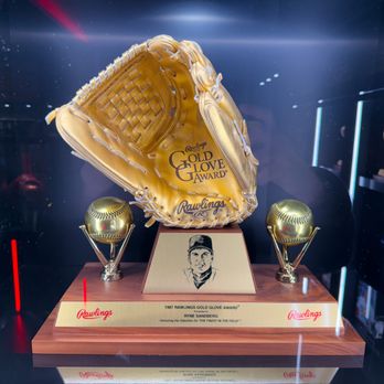 Rawlings Sporting Goods - Gold Glove - Sporting Goods Near Me - St. Louis, Missouri