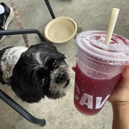blueberry soda
