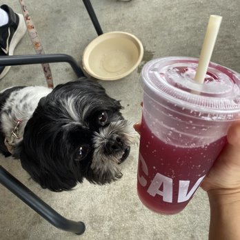 CAVA - blueberry soda - Mediterranean Near Me - Jacksonville, Florida
