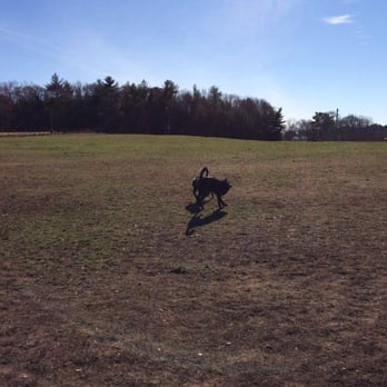 Wrentham Dog Park - Dog Parks Near Me - Wrentham, Massachusetts Wrentham Dog Park - Dog Parks Near Me - Wrentham, Massachusetts