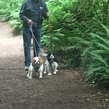 Cape Flattery - Dogs allowed. - Hiking Near Me - Neah Bay, Washington Cape Flattery - Dogs allowed. - Hiking Near Me - Neah Bay, Washington