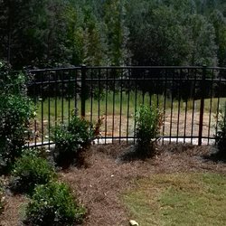 Shelby Fence