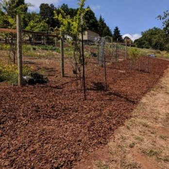 Proper T Facelift - Yard after weeding and barkdust - Junk Removal & Hauling Near Me - Salem, Oregon