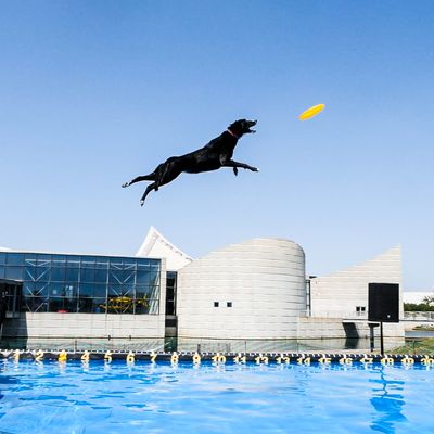 Exploration Place by null