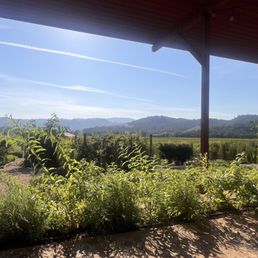 Garden view~ Garden view~