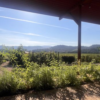 Regusci Winery - Garden view~ - Wine Tasting Room Near Me - Napa, California Regusci Winery - Garden view~ - Wine Tasting Room Near Me - Napa, California