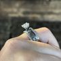 Photo of Diamond Concepts