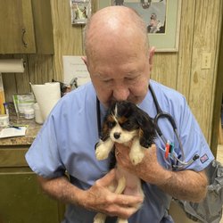 Marion Veterinary Clinic - Dr Doug and Dr Belcher are two of the most caring vets I have ever experienced.  They love what they do and it shows.