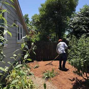 Vintage Tree Care - Tree Services Near Me - Santa Rosa, California Vintage Tree Care - Tree Services Near Me - Santa Rosa, California