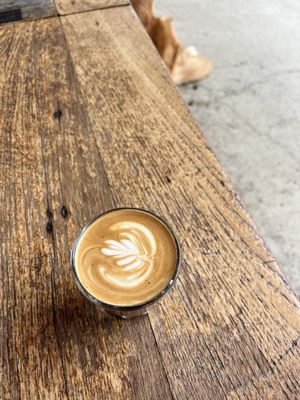 Bird Rock Coffee Roasters - La Jolla by null
