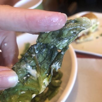 Panera Bread - Wilted Lettuce - Sandwiches Near Me - Selma, Texas