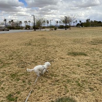 Raptor Play Park - Parks Near Me - Las Vegas, Nevada