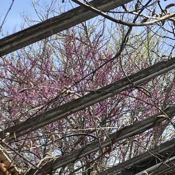 3rd Turn Oldham Gardens - Best vibe in the Biergarten this Saturday afternoon - Breweries Near Me - Crestwood, Kentucky