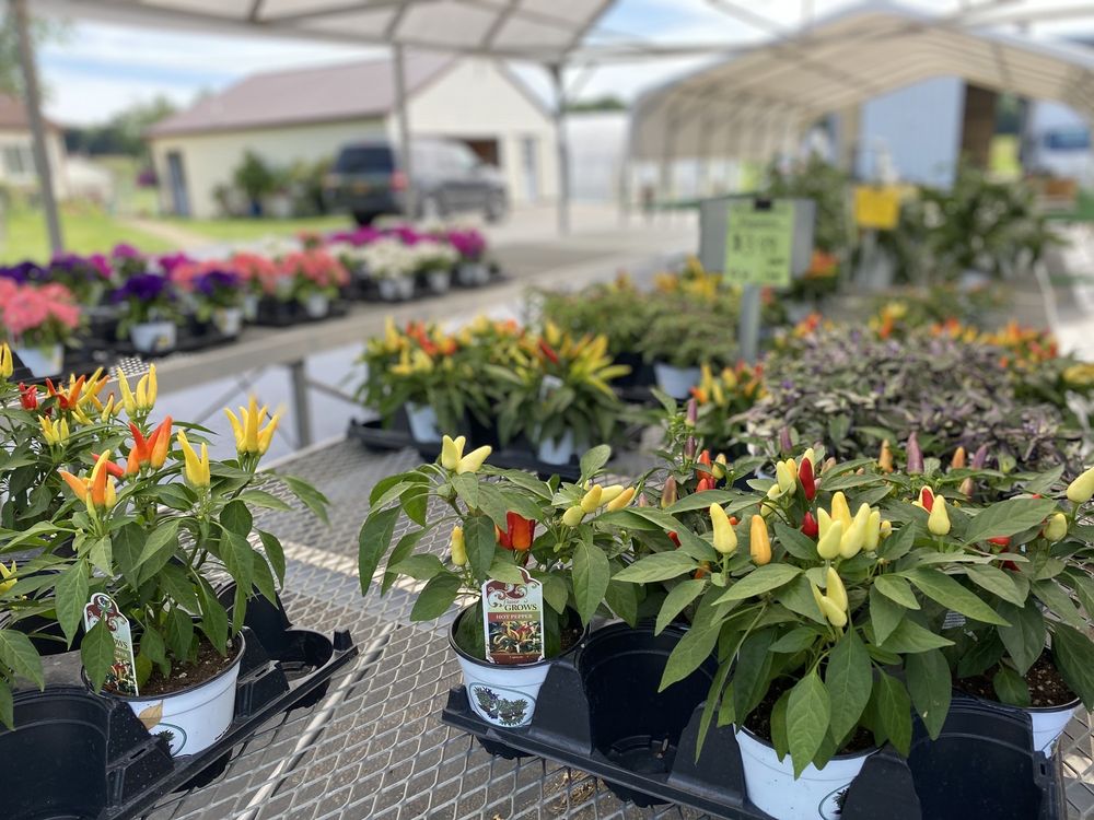 MILLER’S FARM MARKET Updated August 2024 14 Photos 5292 Bayview