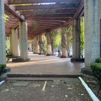 Parque Mexico - Parks Near Me - Ciudad de México, DIF