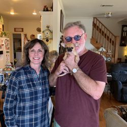 Charming California Chihuahua's - Mickey with new family