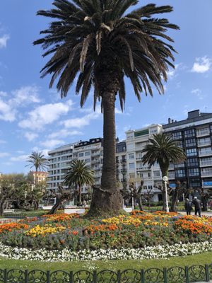 Alderdi Eder Parkea by null