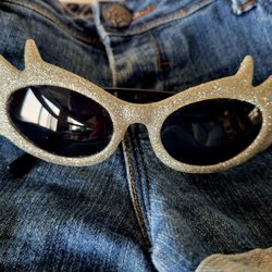 Thrift Shop Supporting Berkeley Humane - Today, I found a pair sparkly shades and some cutoffs.