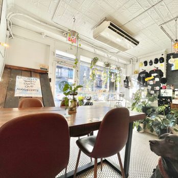 787 Coffee - a dog sitting in front of a table - Coffee & Tea Near Me - Brooklyn, New York