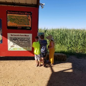 Vertuccio Farms Fall Festival - Corn maze - Local Flavor Near Me - Mesa, Arizona Vertuccio Farms Fall Festival - Corn maze - Local Flavor Near Me - Mesa, Arizona