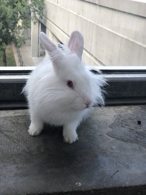 eden pets supplies & aquarium