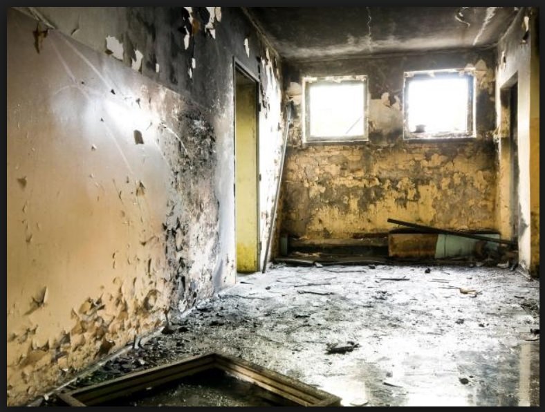 Envirofocus - mold inspector in Sacramento, CA